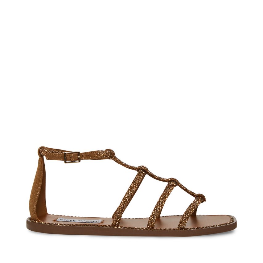 Dark Brown Steve Madden Neptune Women\'s Flat Sandals | PH 5348MIZ